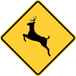Deer Crossing