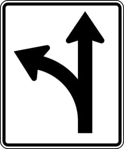 Option sign for left turn or straight