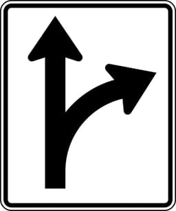 Option sign for right turn or straight
